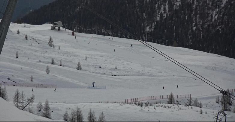 Webcam San Martino di Castrozza - Passo Rolle - Tognola - Rododendro