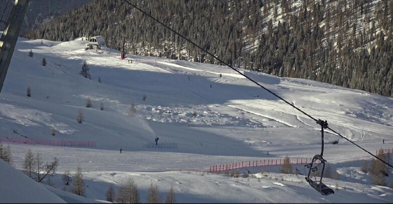 Webcam Сан-Мартино-ди-Кастроцца - Пассо-Ролле - Tognola - Rododendro