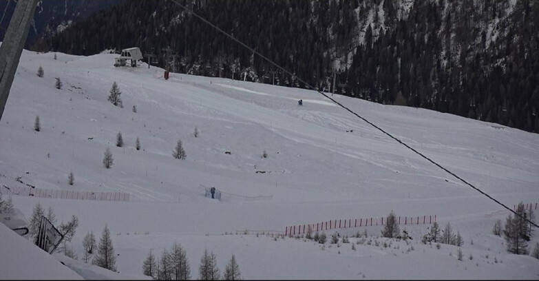 Webcam San Martino di Castrozza - Passo Rolle - Tognola - Rododendro