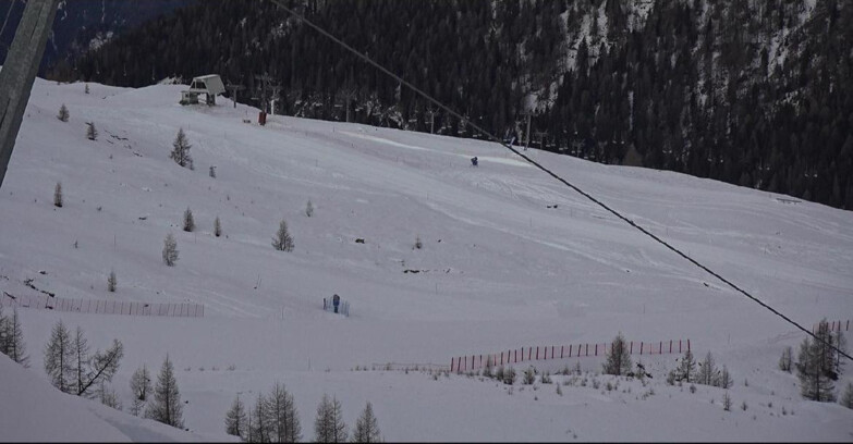 Webcam San Martino di Castrozza - Passo Rolle - Tognola - Rododendro