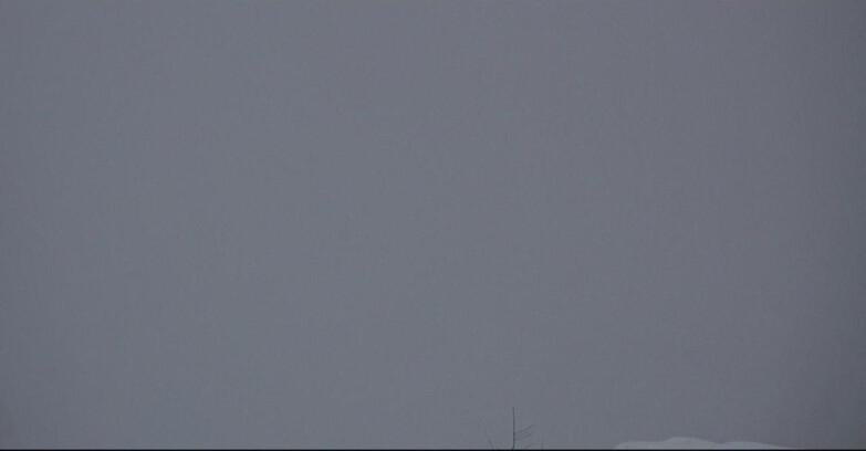 Webcam San Martino di Castrozza - Passo Rolle - Tognola - Pista Cigolera