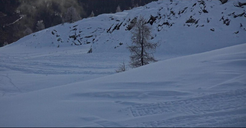 Webcam San Martino di Castrozza - Passo Rolle - Pista Tognola UNO
