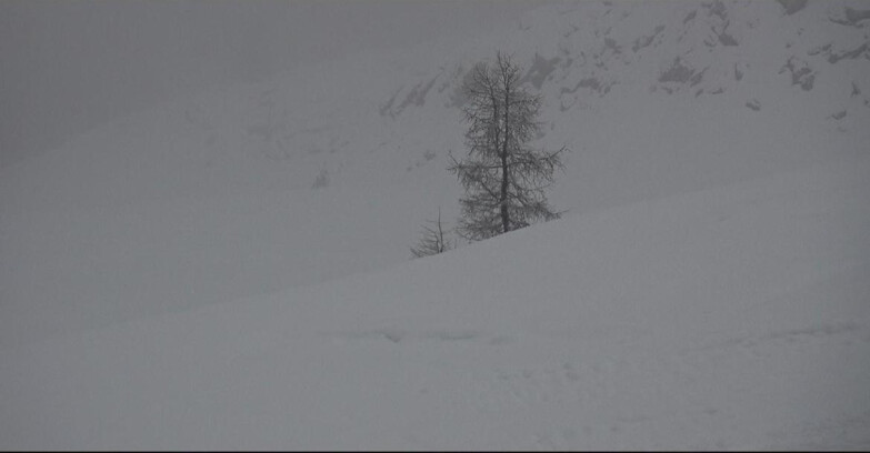 Webcam San Martino di Castrozza - Passo Rolle - Pista Tognola UNO