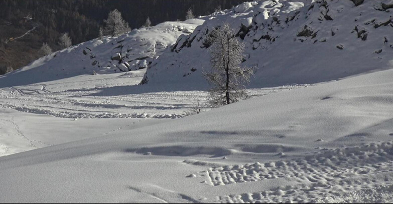 Webcam San Martino di Castrozza - Passo Rolle - Pista Tognola UNO