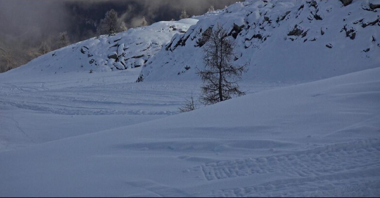 Webcam San Martino di Castrozza - Passo Rolle - Pista Tognola UNO