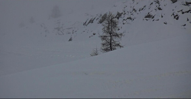 Webcam San Martino di Castrozza - Passo Rolle - Pista Tognola UNO