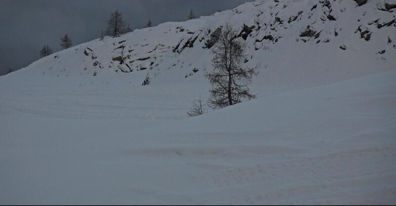 Webcam San Martino di Castrozza - Passo Rolle - Pista Tognola UNO