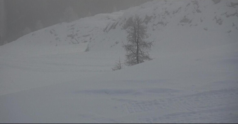 Webcam San Martino di Castrozza - Passo Rolle - Pista Tognola UNO
