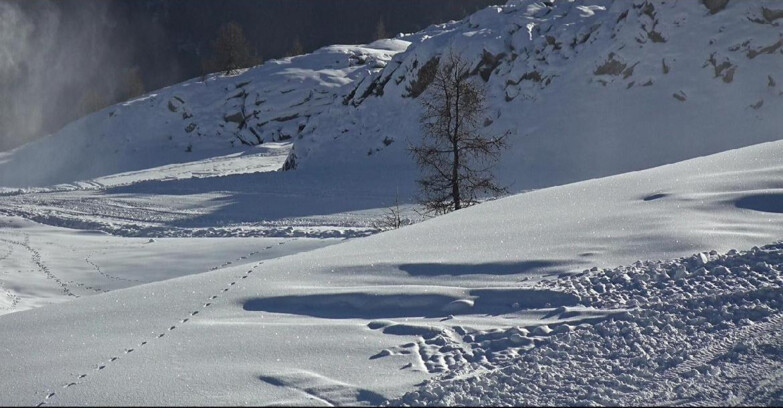 Webcam San Martino di Castrozza - Passo Rolle  - Pista Tognola UNO