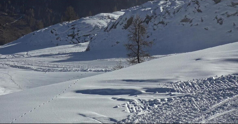 Webcam San Martino di Castrozza - Passo Rolle  - Pista Tognola UNO
