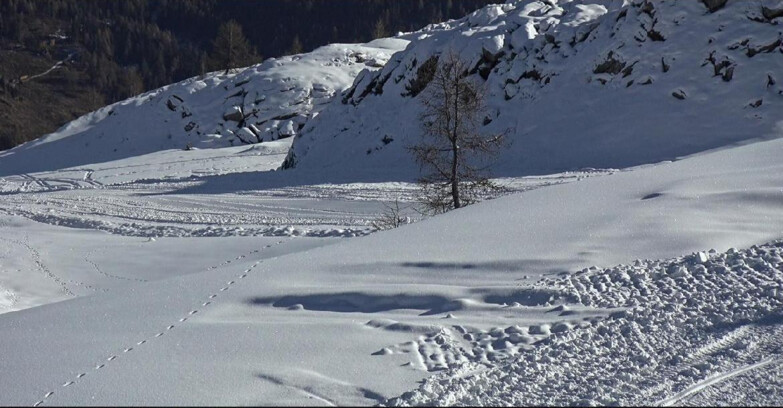 Webcam San Martino di Castrozza - Passo Rolle  - Pista Tognola UNO