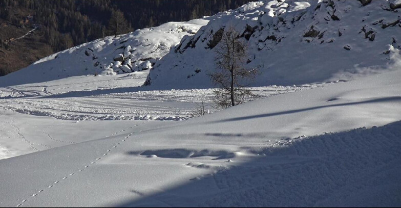 Webcam San Martino di Castrozza - Passo Rolle  - Pista Tognola UNO