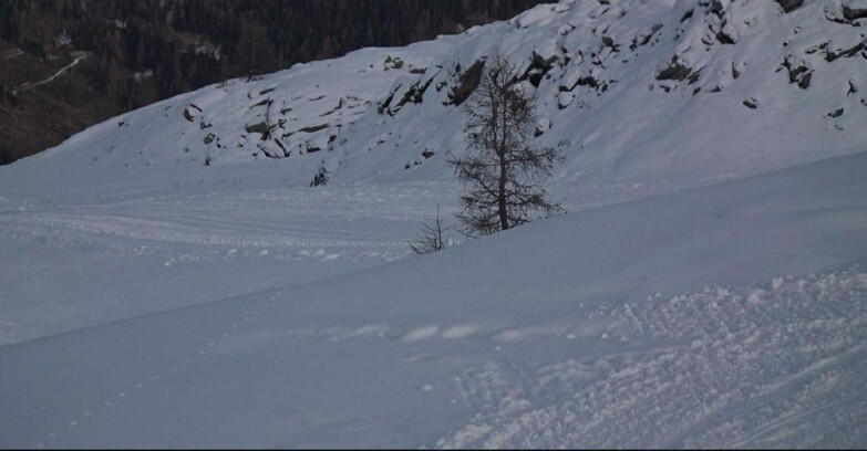 Webcam San Martino di Castrozza - Passo Rolle  - Pista Tognola UNO