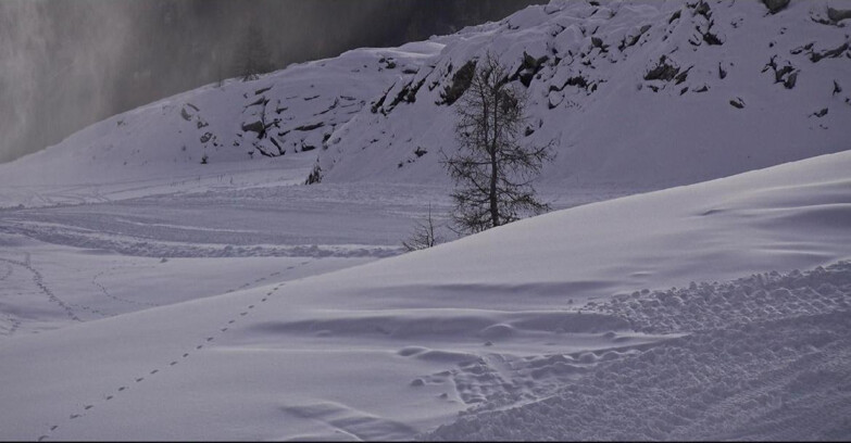 Webcam San Martino di Castrozza - Passo Rolle  - Pista Tognola UNO