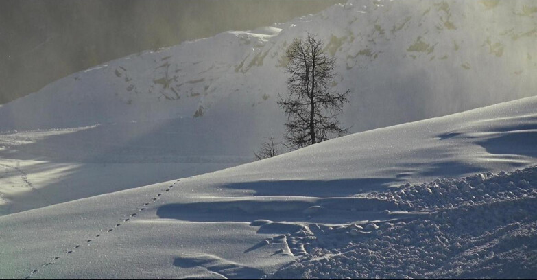 Webcam San Martino di Castrozza - Passo Rolle  - Pista Tognola UNO