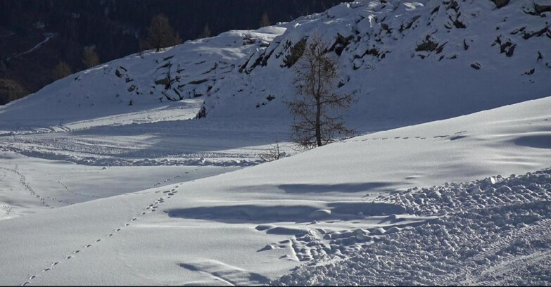 Webcam San Martino di Castrozza - Passo Rolle  - Pista Tognola UNO