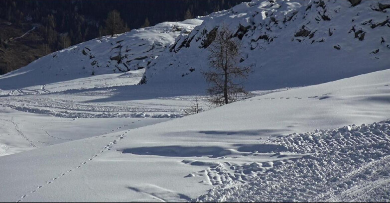 Webcam San Martino di Castrozza - Passo Rolle  - Pista Tognola UNO