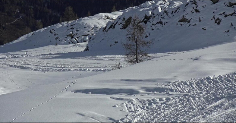 Webcam San Martino di Castrozza - Passo Rolle  - Pista Tognola UNO