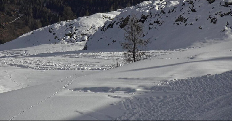 Webcam San Martino di Castrozza - Passo Rolle  - Pista Tognola UNO