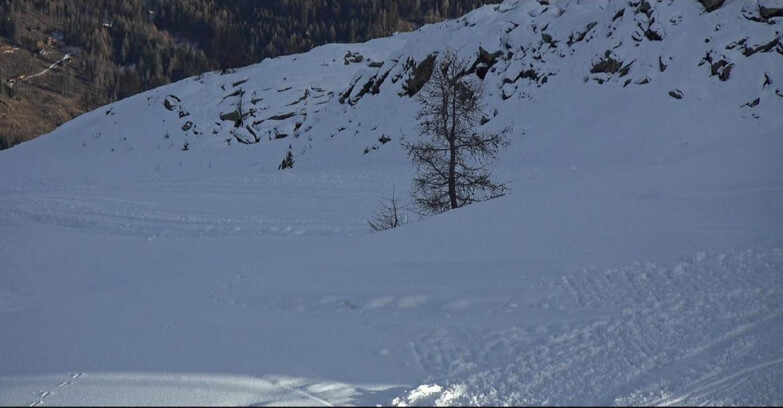 Webcam San Martino di Castrozza - Passo Rolle  - Pista Tognola UNO