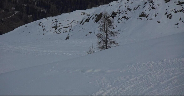 Webcam San Martino di Castrozza - Passo Rolle  - Pista Tognola UNO
