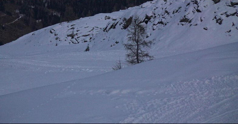 Webcam San Martino di Castrozza - Passo Rolle  - Pista Tognola UNO
