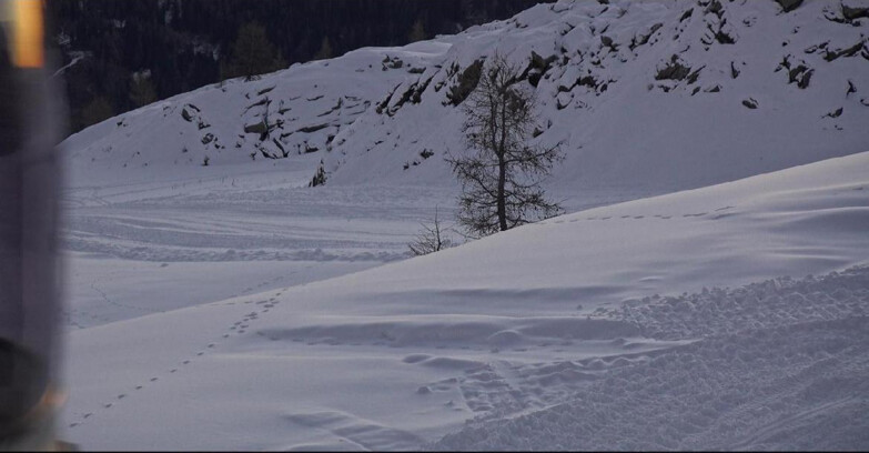 Webcam San Martino di Castrozza - Passo Rolle  - Pista Tognola UNO