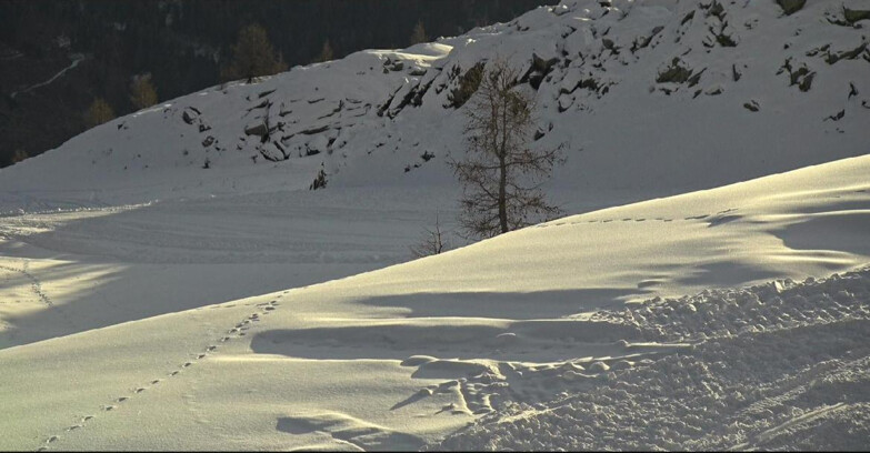 Webcam San Martino di Castrozza - Passo Rolle  - Pista Tognola UNO
