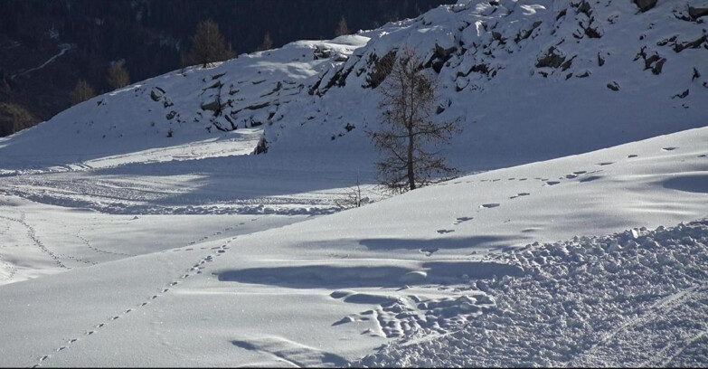 Webcam San Martino di Castrozza - Passo Rolle - Pista Tognola UNO