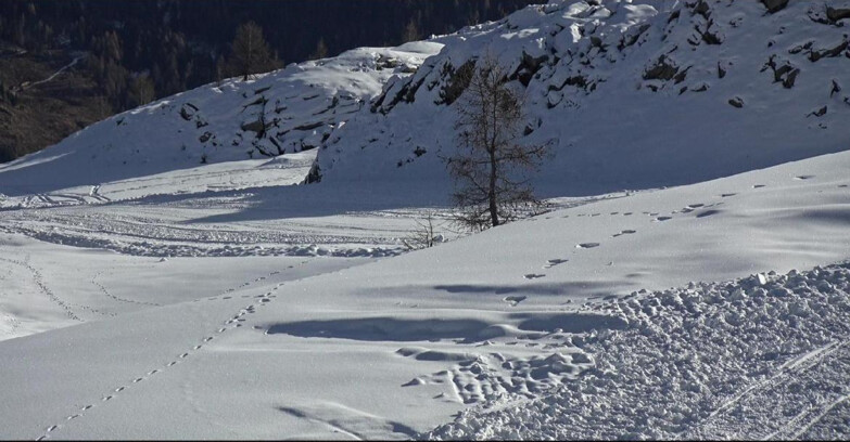 Webcam San Martino di Castrozza - Passo Rolle - Pista Tognola UNO