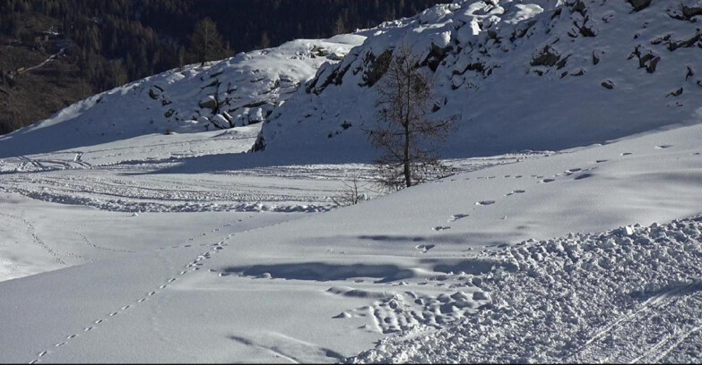 Webcam San Martino di Castrozza - Passo Rolle - Pista Tognola UNO
