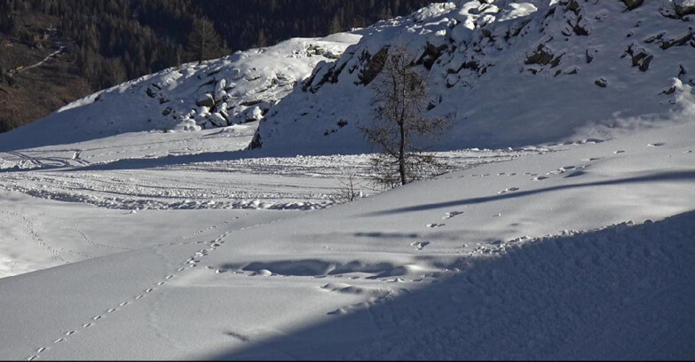 Webcam San Martino di Castrozza - Passo Rolle - Pista Tognola UNO