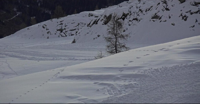 Webcam San Martino di Castrozza - Passo Rolle - Pista Tognola UNO