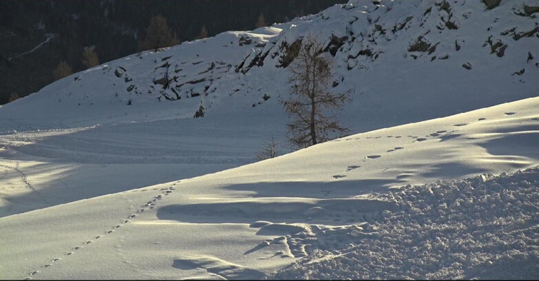 Webcam San Martino di Castrozza - Passo Rolle - Pista Tognola UNO