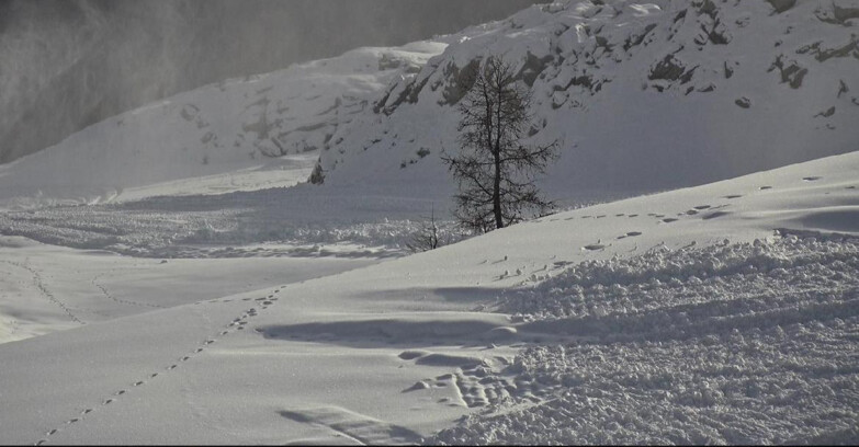 Webcam San Martino di Castrozza - Passo Rolle - Pista Tognola UNO