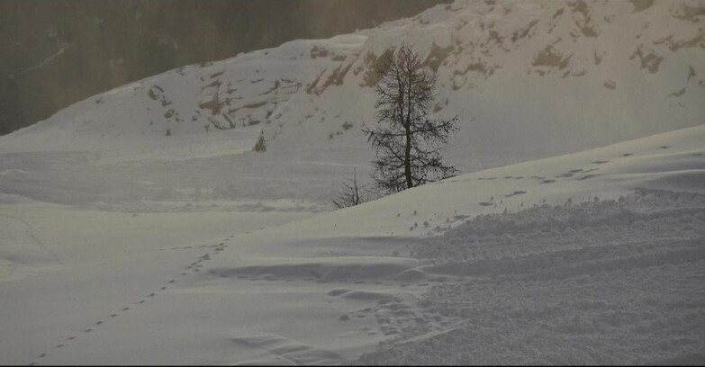 Webcam San Martino di Castrozza - Passo Rolle - Pista Tognola UNO