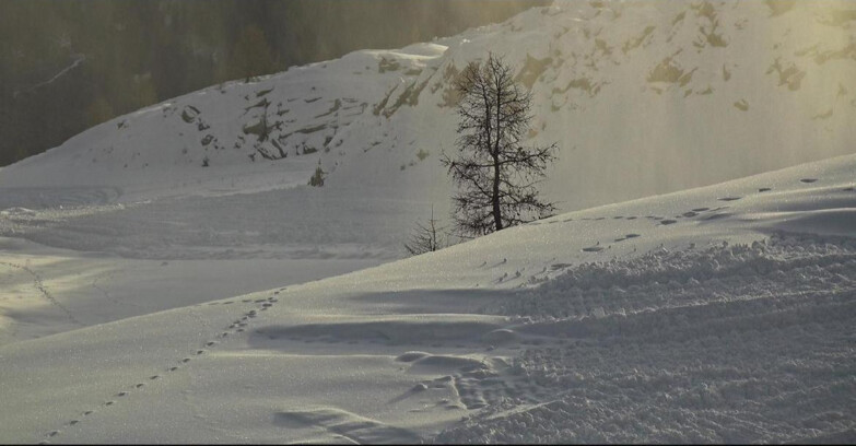 Webcam San Martino di Castrozza - Passo Rolle - Pista Tognola UNO