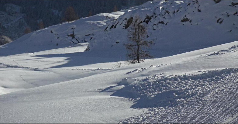 Webcam Сан-Мартино-ди-Кастроцца - Пассо-Ролле - Pista Tognola UNO