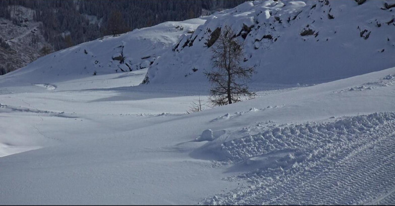 Webcam Сан-Мартино-ди-Кастроцца - Пассо-Ролле - Pista Tognola UNO