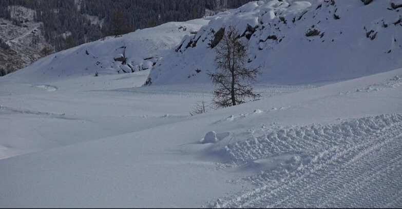 Webcam Сан-Мартино-ди-Кастроцца - Пассо-Ролле - Pista Tognola UNO