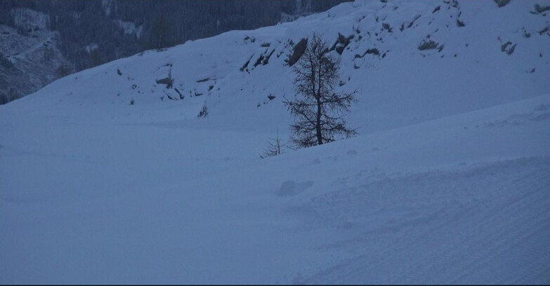 Webcam Сан-Мартино-ди-Кастроцца - Пассо-Ролле - Pista Tognola UNO