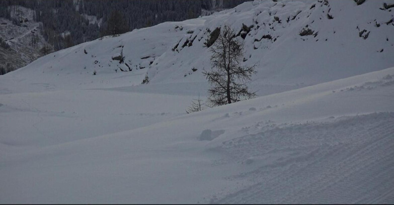 Webcam Сан-Мартино-ди-Кастроцца - Пассо-Ролле - Pista Tognola UNO