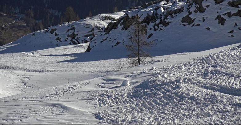 Webcam San Martino di Castrozza - Passo Rolle  - Pista Tognola UNO