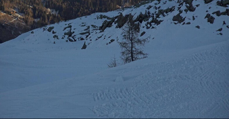 Webcam San Martino di Castrozza - Passo Rolle  - Pista Tognola UNO