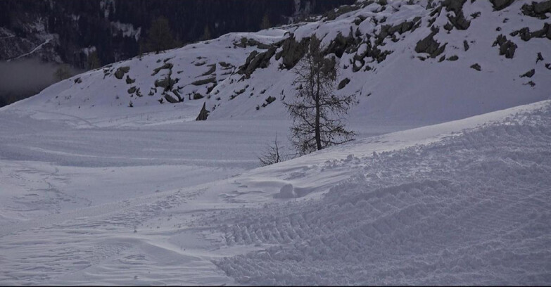 Webcam San Martino di Castrozza - Passo Rolle  - Pista Tognola UNO