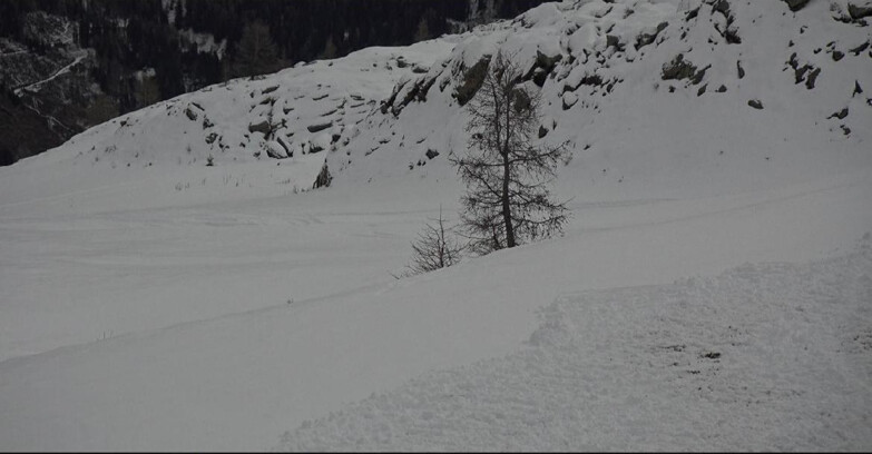 Webcam San Martino di Castrozza - Passo Rolle - Pista Tognola UNO