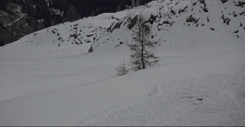 Webcam San Martino di Castrozza - Passo Rolle - Pista Tognola UNO