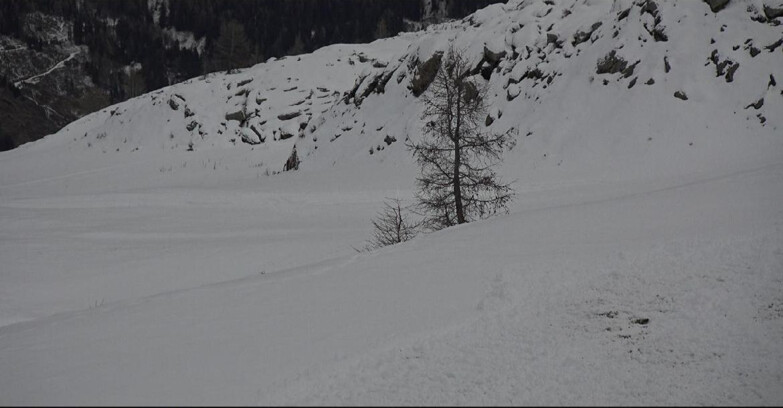 Webcam San Martino di Castrozza - Passo Rolle - Pista Tognola UNO