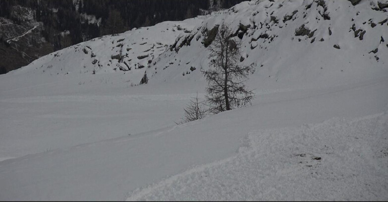 Webcam San Martino di Castrozza - Passo Rolle - Pista Tognola UNO