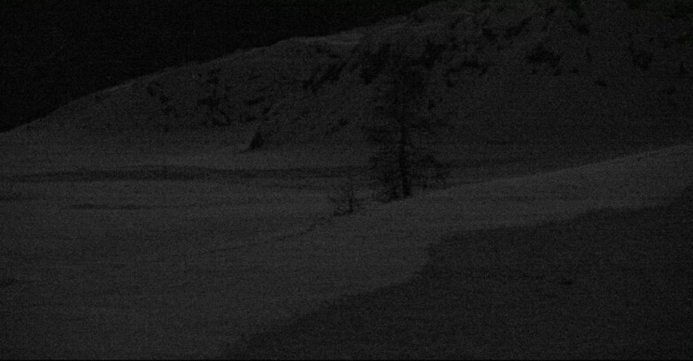 Webcam San Martino di Castrozza - Passo Rolle - Pista Tognola UNO